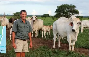  ?? LLOYD PHILLIPS ?? TOP: PJ Hassard has been successful­ly farming beef commercial­ly on his family‘s Zululand farm since 1993.
