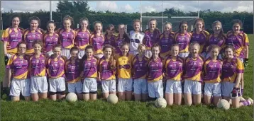  ??  ?? The successful Wexford squad.