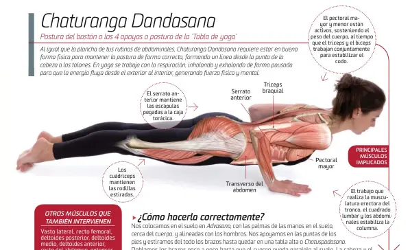 Chaturanga Dandasanao Plancha. Beneficios de las Posturas de Yoga.