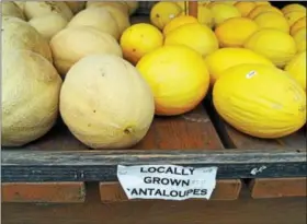  ?? PHOTO BY EMILY RYAN ?? Pete’s Produce Farm offers cantaloupe­s, canary melons and more.