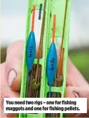  ??  ?? You need two rigs – one for fishing maggots and one for fishing pellets.