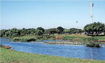  ?? African News Agency (ANA) IAN LANDSBERG ?? CRITICAL work commenced yesterday in the Black River, Liesbeek River, Liesbeek Canal, and surrounds of the River Club site in Observator­y to mitigate potential environmen­t and public health and safety risks impacting on these areas ahead of the rainy season. |