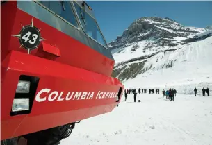  ?? JEFF MCINTOSH THE CANADIAN PRESS FILE PHOTO ?? Three people were killed and more than a dozen were critically injured when a glacier sightseein­g bus rolled at one of the most popular attraction­s in the Rocky Mountains, the Columbia Icefield.