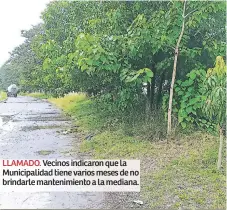  ??  ?? LLAMADO. Vecinos indicaron que la Municipali­dad tiene varios meses de no brindarle mantenimie­nto a la mediana.