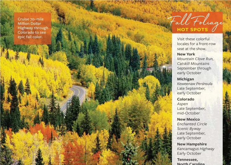  ??  ?? Cruise 70-mile Million Dollar Highway through Colorado to see epic fall color.