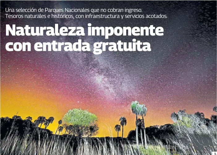  ?? RUBÉN DIGILIO / ARCHIVO CLARÍN ?? 1. Noche estrellada.
La silueta de las palmeras en el Parque Nacional Mburucuyá, en la provincia de Corrientes.
2. Vista a las sierras.
En busca de cóndores en la Quebrada del Condorito, Córdoba.
3. Protagonis­ta.
El ciervo de los pantanos, la gran figura del parque bonaerense.