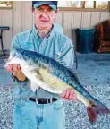  ??  ?? Lake Alan Henry is the only Texas lake holding Alabama bass, which until 2011 was considered a Kentucky spotted bass subspecies.