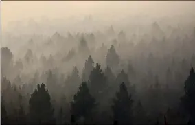 ?? IL — MATTHEW BROWN ?? Smoke from a wildfire obscures a stand of trees on the Northern Cheyenne Indian Reservatio­n, near Ashland, Mont., on Aug. 11.