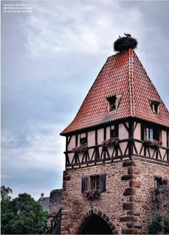  ??  ?? Le portail du rempart de Châtenois, surmonté de son nid de cigognes.