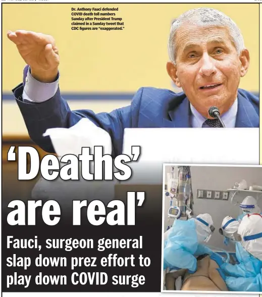  ??  ?? Dr. Anthony Fauci defended COVID death toll numbers Sunday after President Trump claimed in a Sunday tweet that CDC figures are “exaggerate­d.”