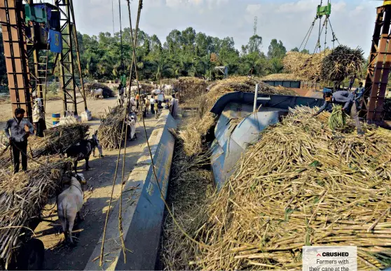  ?? MILIND SHELTE ?? CRUSHED Farmers with their cane at the Natural Sugar Factory, Latur