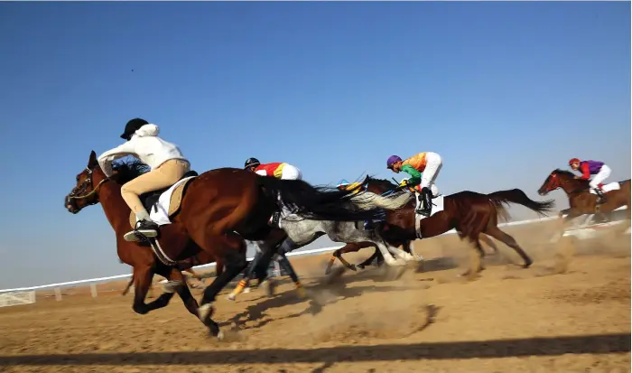  ?? Satish Kumar for the National ?? Horse racing is still a niche pursuit at Al Dhafra Festival, but enthusiast­s believe that it has a bright future