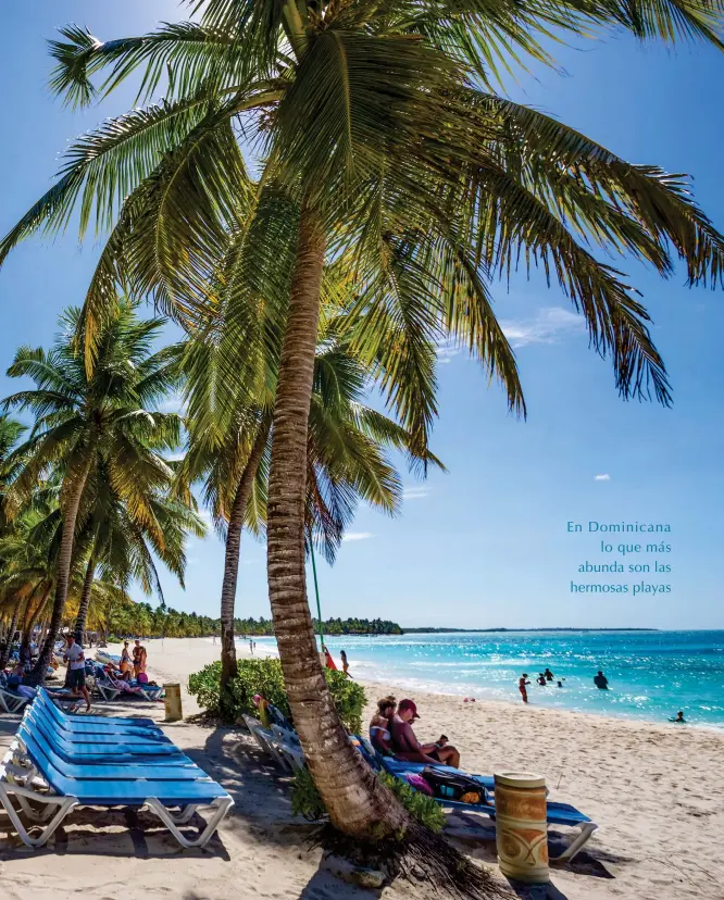  ??  ?? En Dominicana
lo que más abunda son las hermosas playas