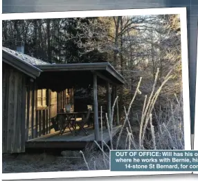  ?? ?? OUT OF OFFICE: Will has his own shack where he works with Bernie, his beloved 14-stone St Bernard, for company