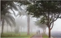  ??  ?? The green areas of Discovery Gardens in Dubai make for misty scenery as the fog rolls through the residentia­l community.