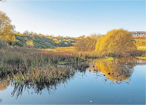  ??  ?? HABITAT: Den of Maidencrai­g Local Nature Reserve boasts grassland, wetland and woodland, and is excellent for pond dipping.