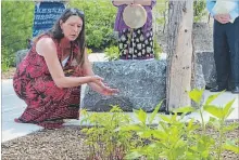  ?? MIKE ZETTEL
METROLAND ?? Elaine Berwald, an elder and knowledge keeper, says a prayer for the plants growing in Niagara College's new Indigenous Garden.