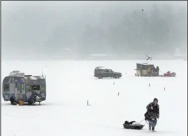  ?? (File Photo/aP/Jim Cole) ?? Snow falls Jan. 18, 2014, as ice fisherman Jeremy Simon walks off the ice after catching his 19½inch Lake trout on Lake Winnipesau­kee’s alton Bay in alton, N.H. Lake trout were once the most dominant fish predator fish species in the great Lakes but declined in the 20th century because of attacks from invasive sea lamprey, plus overfishin­g and pollution.