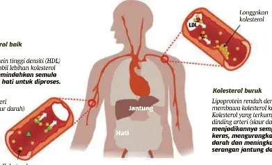 makanan sihat untuk jantung