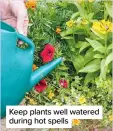  ??  ?? Keep plants well watered during hot spells