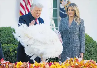  ?? Photo / AP ?? US President Donald Trump pardons Corn, the national Thanksgivi­ng turkey, as Melania Trump watches on.