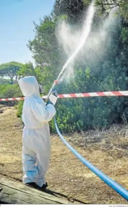  ?? JULIO GONZÁLEZ ?? Un trabajador se afana en la fumigación contra el mosquito del virus del Nilo.