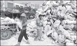  ?? Source: thediploma­t.com ?? Fishermen in China’s Hainan Island carry giant clam shells, an endangered species and trading in their shells is prohibited under internatio­nal laws.