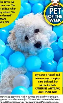  ?? ?? My name is Haskell and Mummy says I can play in the ball pool, but not bite the balls. CATHERINE WHITELAW, SOUTHPORT, QLD. PET OF THE WEEK