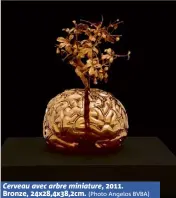  ?? (Photo Angelos BVBA) ?? Cerveau avec arbre miniature, Bronze, x,x,cm. .