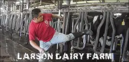  ?? CONTRIBUTE­D ?? Video provided by Animal Recovery Mission, an animal cruelty investigat­ive group, shows an employee of Larson Dairy in Okeechobee County kicking a cow.