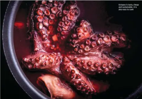  ??  ?? Octopus is tasty, cheap and sustainabl­e. It is also easy to cook