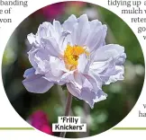  ?? ?? ‘Frilly Knickers’