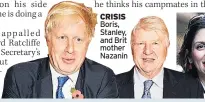  ??  ?? CRISIS Boris, Stanley, and Brit mother Nazanin