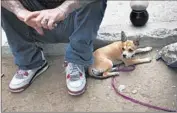  ??  ?? ROCKY WILSON, who is married, with his dog in Echo Park. He also has a portable DVD player.