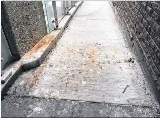  ?? SUBMITTED PHOTO ?? The wheelchair ramp at the St. John’s Arts and Culture Centre on Friday, when Joanne Macdonald had to wheel over pigeon poop to pick up tickets at the box office.