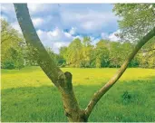  ??  ?? Die große Liegewiese bietet viel Platz, sich auf einer Decke auszubreit­en und die Seele baumeln zu lassen.