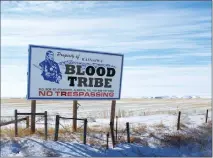  ?? Herald photo by Tim Kalinowski ?? Problems with voting during the last Blood Tribe election has tribe members seeking a federal judicial review after a recent decision by the Blood Tribe Elections Appeal Board denied an applicatio­n to review the election results.