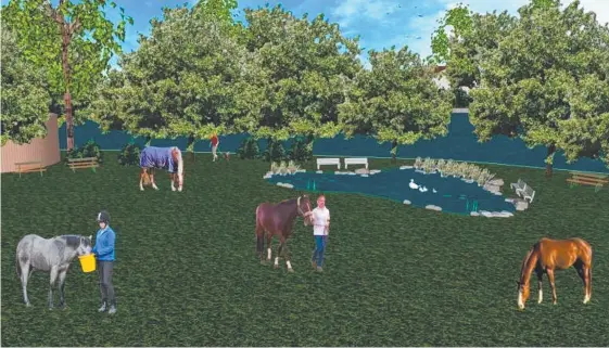  ??  ?? Artist impression of the future of Black Swan Lake at Bundall, sent to Turf Club members in a recent newsletter.