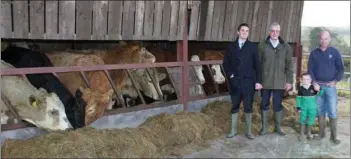  ??  ?? Cormac Pettitt of Pettitt’s Supermarke­ts, Karl Strehlow Manager of Sleedagh Farm and David and young Darragh Kinsella with the Continenta­l Mix Suckler Cows