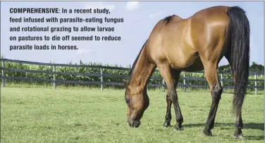  ??  ?? COMPREHENS­IVE: In a recent study, feed infused with parasite-eating fungus and rotational grazing to allow larvae on pastures to die off seemed to reduce parasite loads in horses.