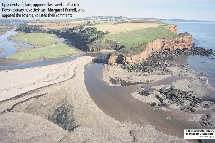  ?? Environmen­t Agency ?? The Lower Otter estuary on the south Devon coast