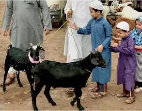  ?? — PTI ?? A family buys goats from a livestock market in Kolkata on Thursday ahead of Id-ul-Zuha.