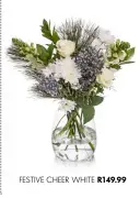  ??  ?? FESTIVE CHEER WHITE R149.99