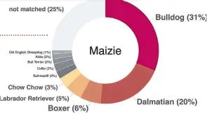  ?? DARWIN’S DOGS. ?? A DNA test revealed Maizie’s very mixed heritage.