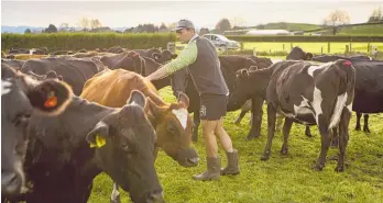  ?? Photo / Supplied ?? Any stakeholde­rs in the catchment who would benefit, can access the data. This includes catchment groups, iwi and hapū, scientists and farmers.