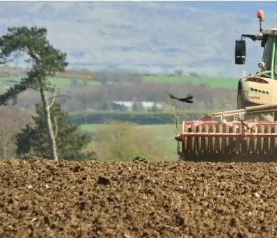  ??  ?? Keith Lucas getting the seed bed ready for barley in Killenane, Co Carlow.