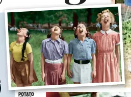  ??  ?? POTATOHEAD­S These young ballet students of the Italia Conti School eat potatoes from a line without using their hands, for a fun competitio­n held in Green Park, London, on 25 July 1952