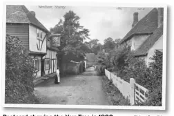  ?? Picture: Rory Kehoe ?? Postcard showing the Yew Tree in 1900