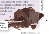  ??  ?? Your gut loves chocolate as much as you do!