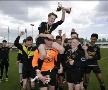  ??  ?? Avonmore captain Zach Cullen is lifted high by his colleagues after the Under-16 Premier Cup final between Avonmore and Greystones at the Carlisle Grounds. Photo: Barbara Flynn